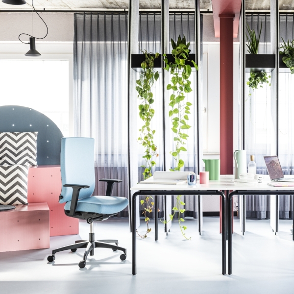 Dauphin-Just-Evo-Team-Workplace