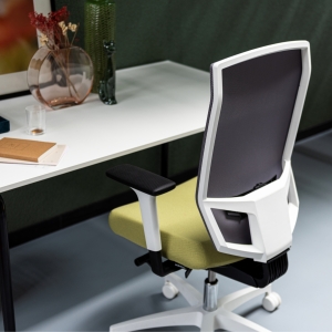 Dauphin-Just-Evo-Homeoffice