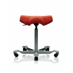 HAG-Capisco-8105