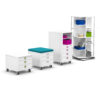 moll Cubicmax (Champion) – Bild 4
