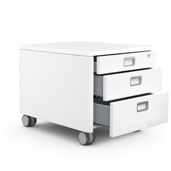 moll Cubic (Champion) – Bild 3