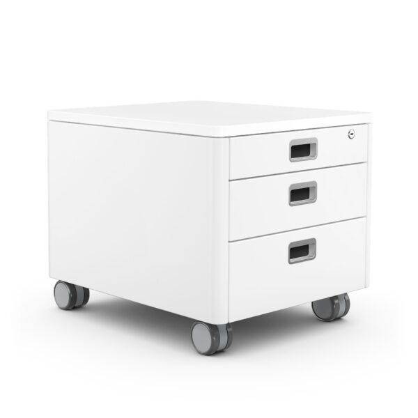 moll Cubic (Champion) – Bild 2