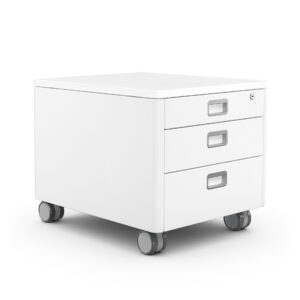 moll Cubic (Champion)