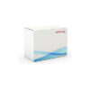 XEROX     Toner-Modul HY          yellow 106R02231 Phaser 6600        6000 Seiten – Bild 3