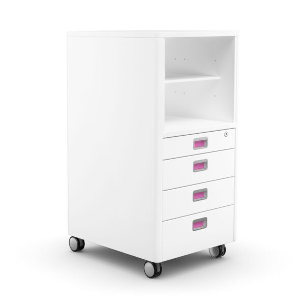 moll Cubicmax (Champion) – Bild 2