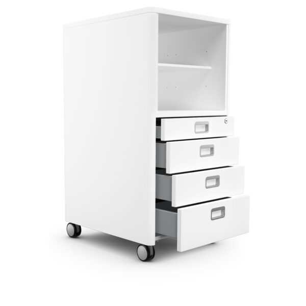 moll Cubicmax (Champion) – Bild 3