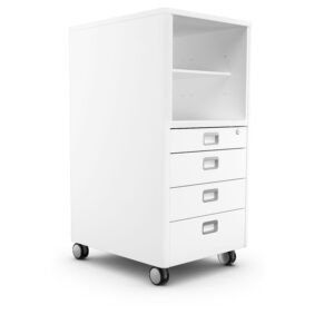 moll Cubicmax (Champion)