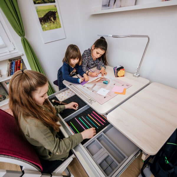 moll Winner Split - Schubladenaktion – Bild 10