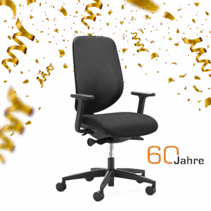 Giroflex 353-4029 - Jubiläumsaktion