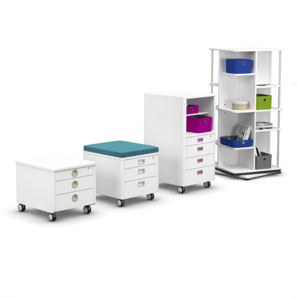 moll Cubic (Champion) – Bild 4