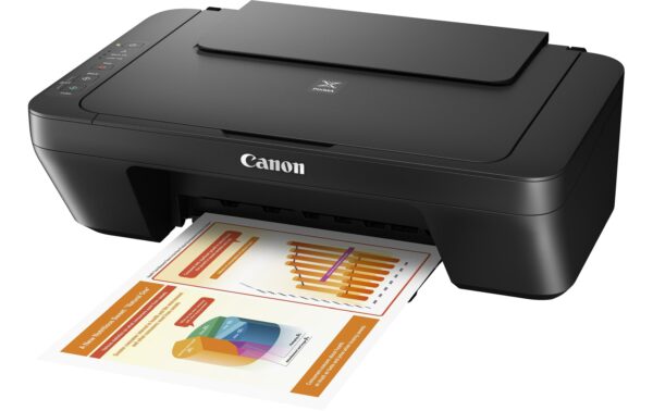 Canon PIXMA MG2550 – Bild 2