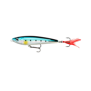 Modul R2: E-Mail Phishing Kampagne