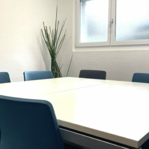 Consulting C2: Security Audit