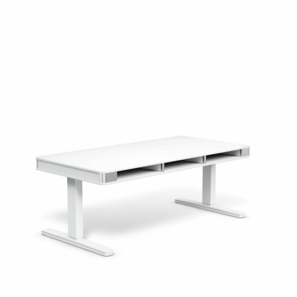 moll T6 – Bild 2