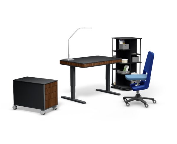 moll C8 – Bild 2