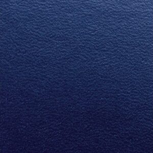GBC       Regency Umschlagmaterial    A4 CE030020  blau                 100 Stück