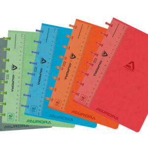 ADOC      Ringbuch LIN-EX             A5 3845.748  assortiert, kariert 144 Seiten