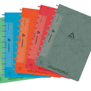 ADOC      Ringbuch LIN-EX             A4 6845.742  assortiert, kariert 144 Seiten