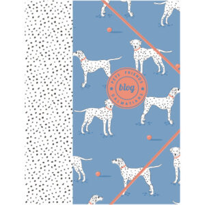 ANCOR     Gummibandmappe              A4 105438    PET FRIENDS blau