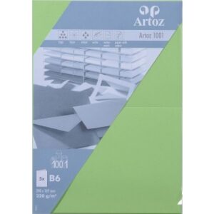 ARTOZ     Karten 1001                 B6 107362263 220g, birkengrün       5 Blatt