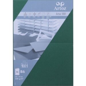 ARTOZ     Karten 1001                 B6 107362263 220g, racing green     5 Blatt