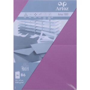 ARTOZ     Karten 1001                 B6 107362264 220g, holunder         5 Blatt