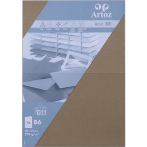ARTOZ     Karten 1001                 B6 107362265 220g, olive            5 Blatt
