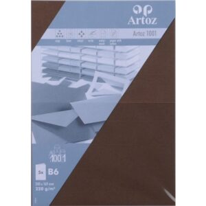 ARTOZ     Karten 1001                 B6 107362266 220g, braun            5 Blatt