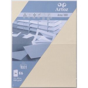 ARTOZ     Karten 1001                 E6 107372262 220g, chamois          5 Blatt
