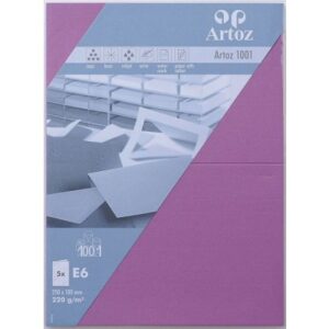 ARTOZ     Karten 1001                 E6 107372264 220g, holunder         5 Blatt