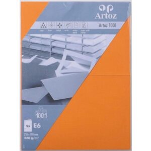ARTOZ     Karten 1001                 E6 107372265 220g, orange           5 Blatt