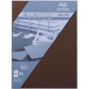 ARTOZ     Karten 1001                 E6 107372266 220g, braun            5 Blatt
