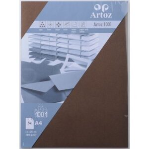 ARTOZ     Papier 1001                 A4 107796146 100g, braun            5 Blatt