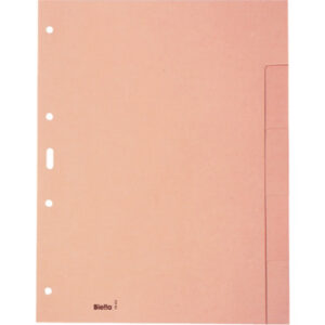 BIELLA    Kartonregister              A4 19640500U braun blanko          5-teilig