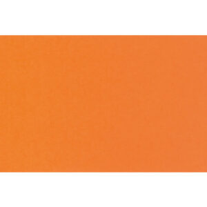 BIELLA    Trennstreifen Karton 2 Loch 19919035U orange, 24x10.5cm     100 Stk.