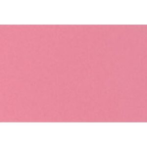 BIELLA    Trennstreifen Karton 2 Loch 19919045U rot, 24x10.5cm        100 Stk.