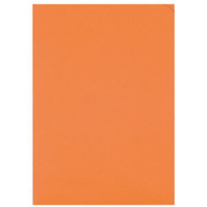 ELCO      Organisationsmappe Ordo     A4 29466.82  discreta, orange     100 Stück