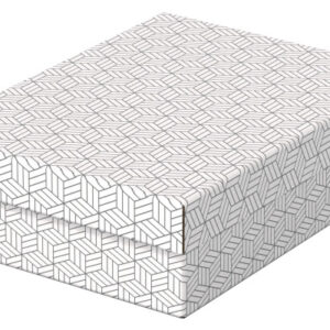ESSELTE   Aufbewahrungsboxen Home M 628284    365x265x100mm, weiss     3 Stk