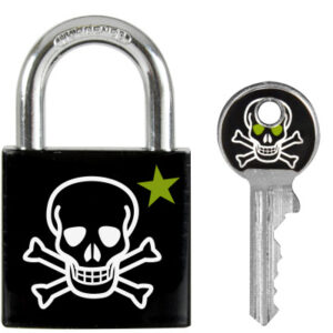 MASTER LO Vorhangschloss            30mm 66246800  Totenkopf Motiv