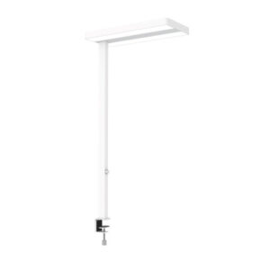 MAUL      LED-Tischleuchte MAULjaval 8258302   weiß, dimmbar