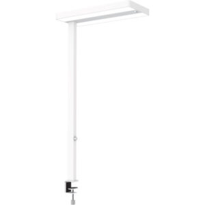 MAUL      LED-Tischleuchte MAULjuvis 8258702   Bewegung-/Lichtsensor, dim.