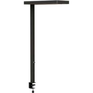 MAUL      LED-Tischleuchte MAULjuvis 8258790   Bewegung-/Lichtsensor, dim.