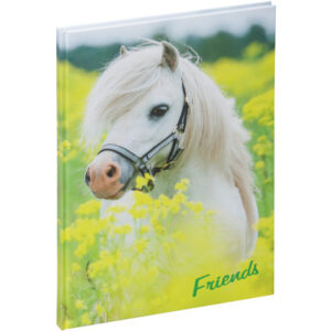 PAGNA     Freundebuch 20346-15  kleines Pony 60S