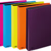 PAGNA     Ringbuch                    A4 20601-00  farbig sortiert