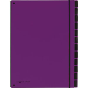 PAGNA     Pultordner Trend            A4 24129-12  lila                 12 Fächer