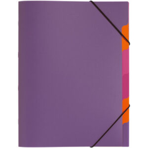 PAGNA     Ordnungsmappe               A4 41803-12  lilac                 5-teilig