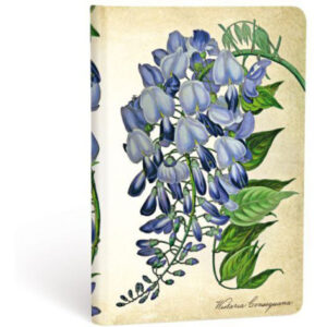 PAPERBLAN Notizbuch Blühende Glyzinie PB3576-3  Mini, blanko 176 Seiten
