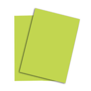 PAPYRUS   Rainbow Papier FSC          A4 88042608  leuchtend grün, 80g  500 Blatt