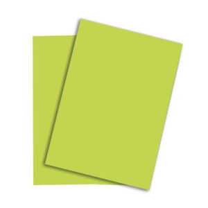 PAPYRUS   Rainbow Papier FSC          A4 88043110  leuchtend grün, 120g 250 Blatt