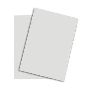 PAPYRUS   Rainbow Papier FSC          A4 88043118  hellgrau, 120g       250 Blatt